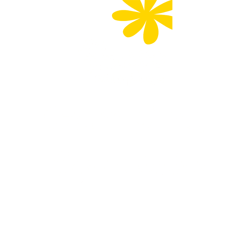 Cap Fi