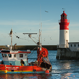 haliotika peche bretagne