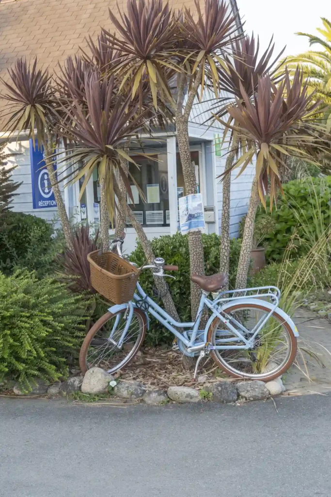 vermietung von fahrrädern auf dem campingplatz finistere